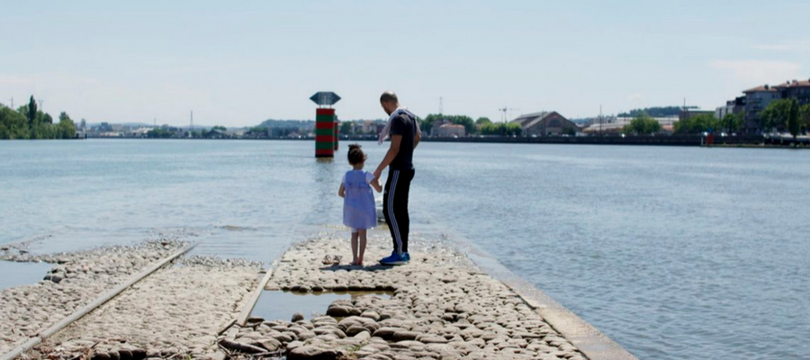 t-confluence-courtage-17 A&M Courtage, Lyon